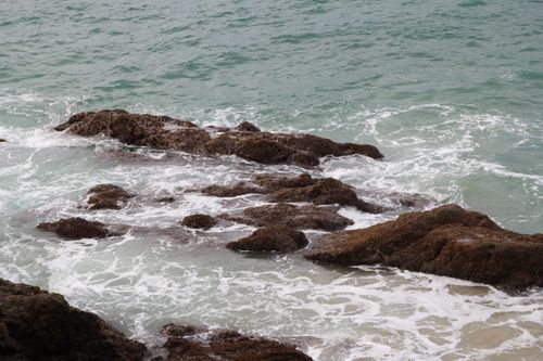 Free Calm ocean waves break on mossy rocks along a tranquil shoreline. Stock Photo