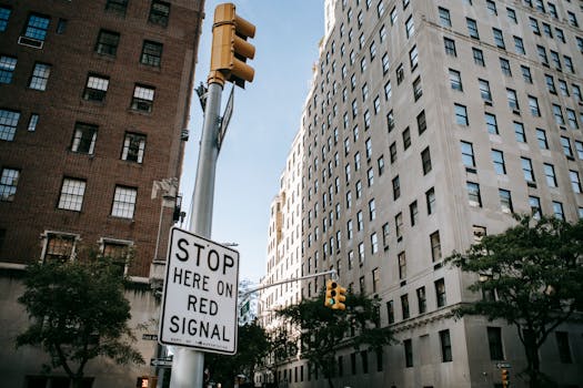 Exterior of contemporary city street with residential buildings and trees near road with traffic light
