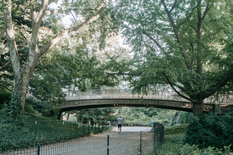 Stone Bridge Over Sidewalk In Park