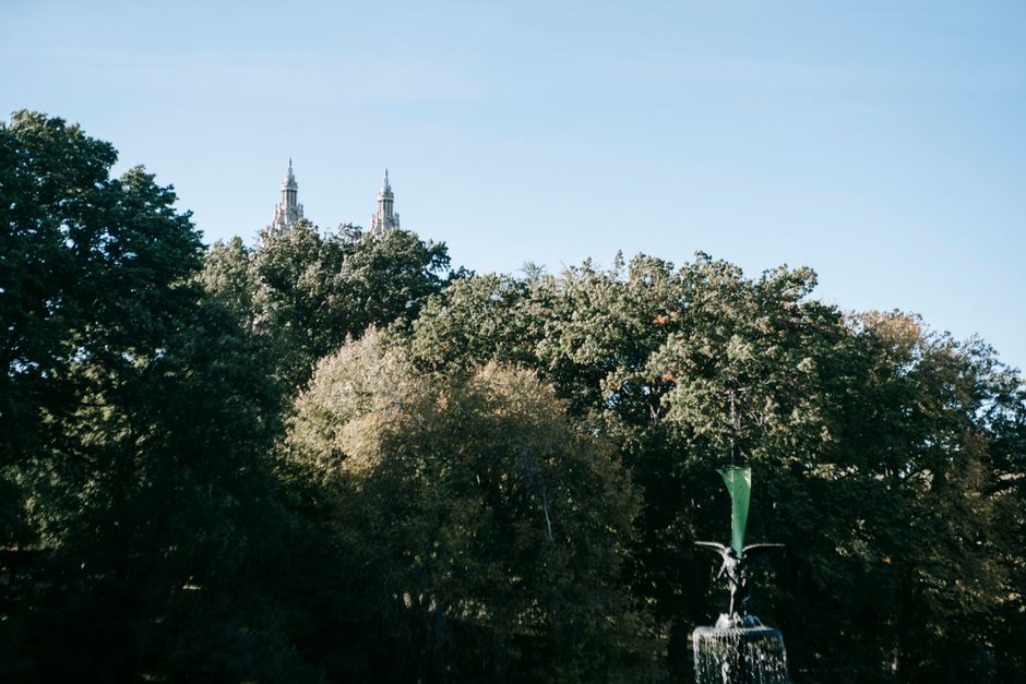 Detalii șocante ale cazului din parcul localității
