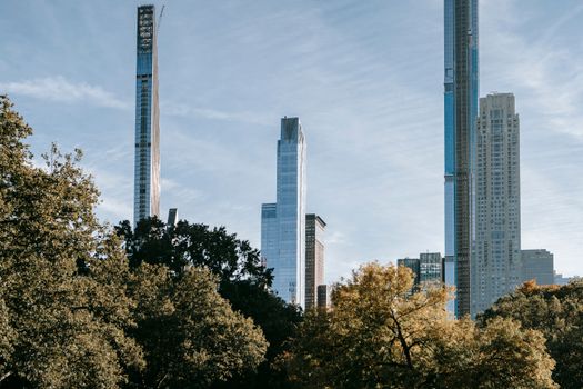 在纽约市一个郁郁葱葱的公园旁，现代摩天大楼耸立在晴朗的天空下