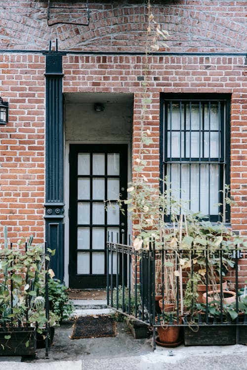 Exterior of building with brick wall and door with black frame near metal fence with potted plants on city street