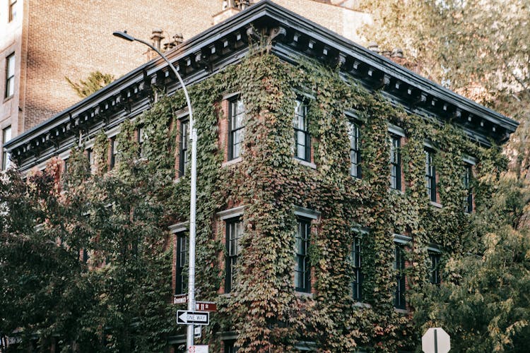 Overgrown Building Facade With Windows