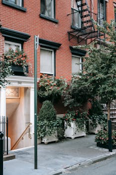 白天，城市街道上砖房立面的植物在灯光入口的映衬下显得格外醒目
