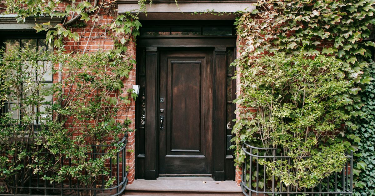Exterior of residential building with green plants and wooden old door in daytime