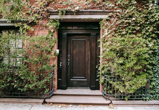 Charming historic building entrance with a wooden door surrounded by greenery, showcasing classic architecture.