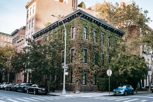 Urban street corner with brick building draped in lush ivy, cars parked, and clear signs visible. by Charles Parker