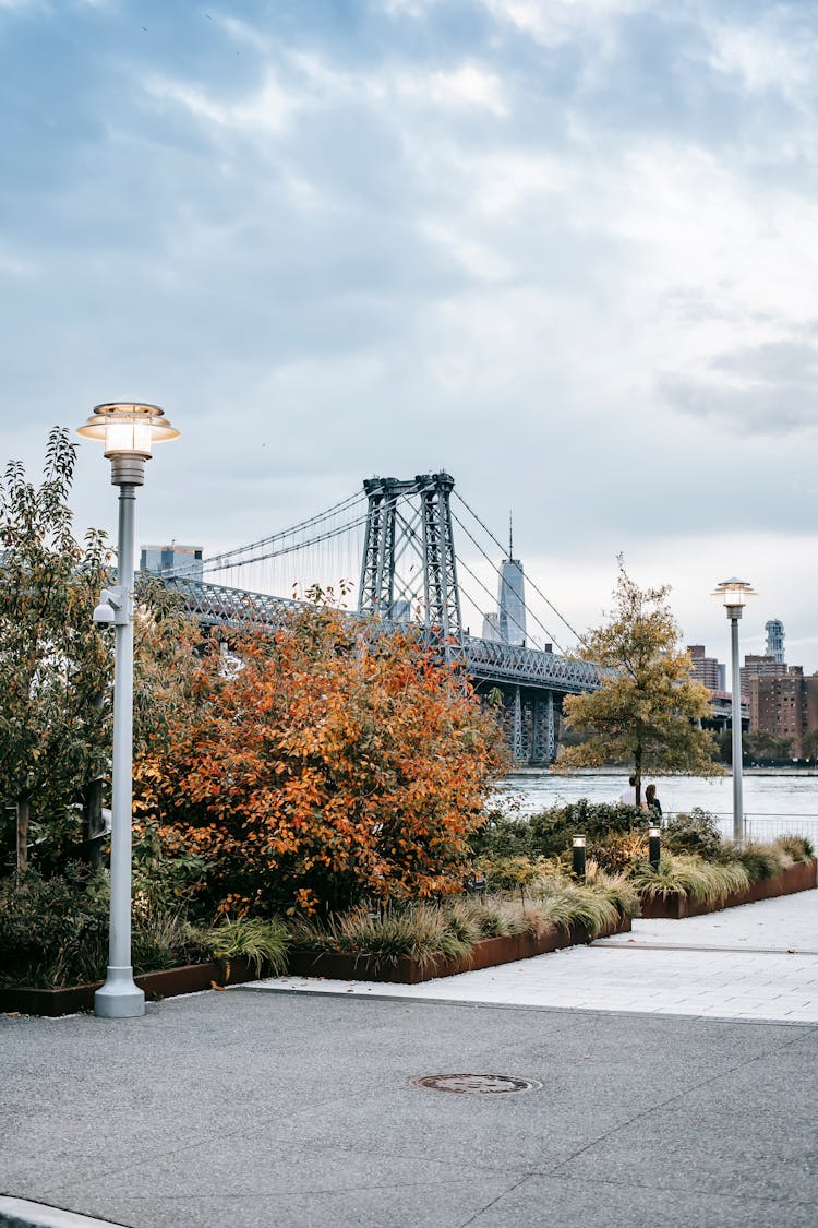 Modern City District With Suspension Bridge In Early Autumn