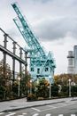 High gantry crane in green park