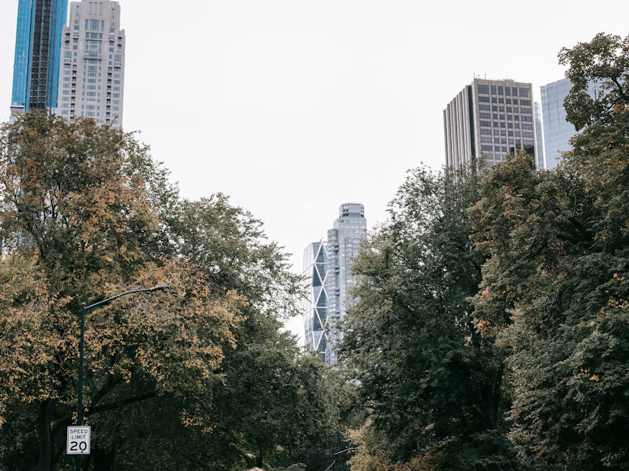 Why does the US work 5 days a week?