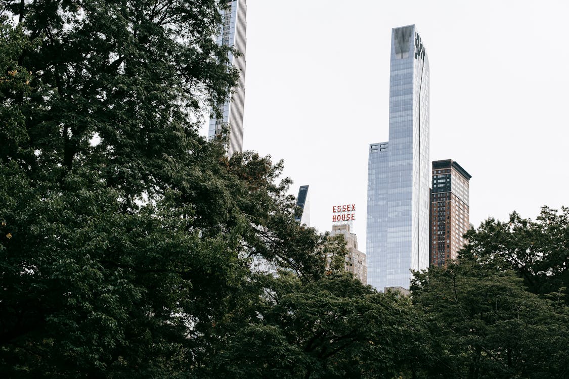 Free Modern skyscrapers in city with trees Stock Photo