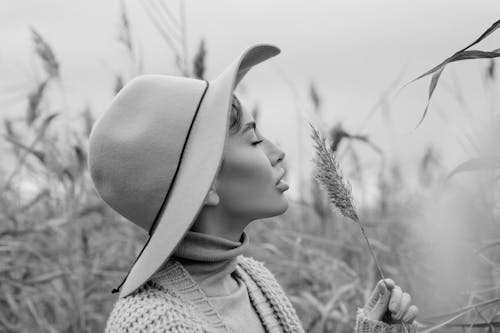 Fotobanka s bezplatnými fotkami na tému hracie pole, klobúk, krása