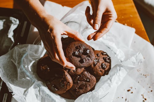 Hand Holding Chocolate Cookie