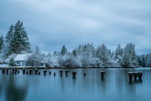 Foto profissional grátis de clima, congelado, inverno