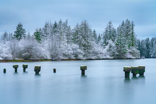 Idyllic winter scene featuring snow-covered trees by a tranquil, frozen lake.