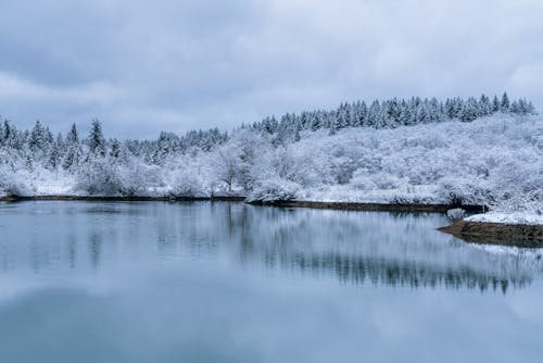 Foto profissional grátis de clima, congelado, inverno