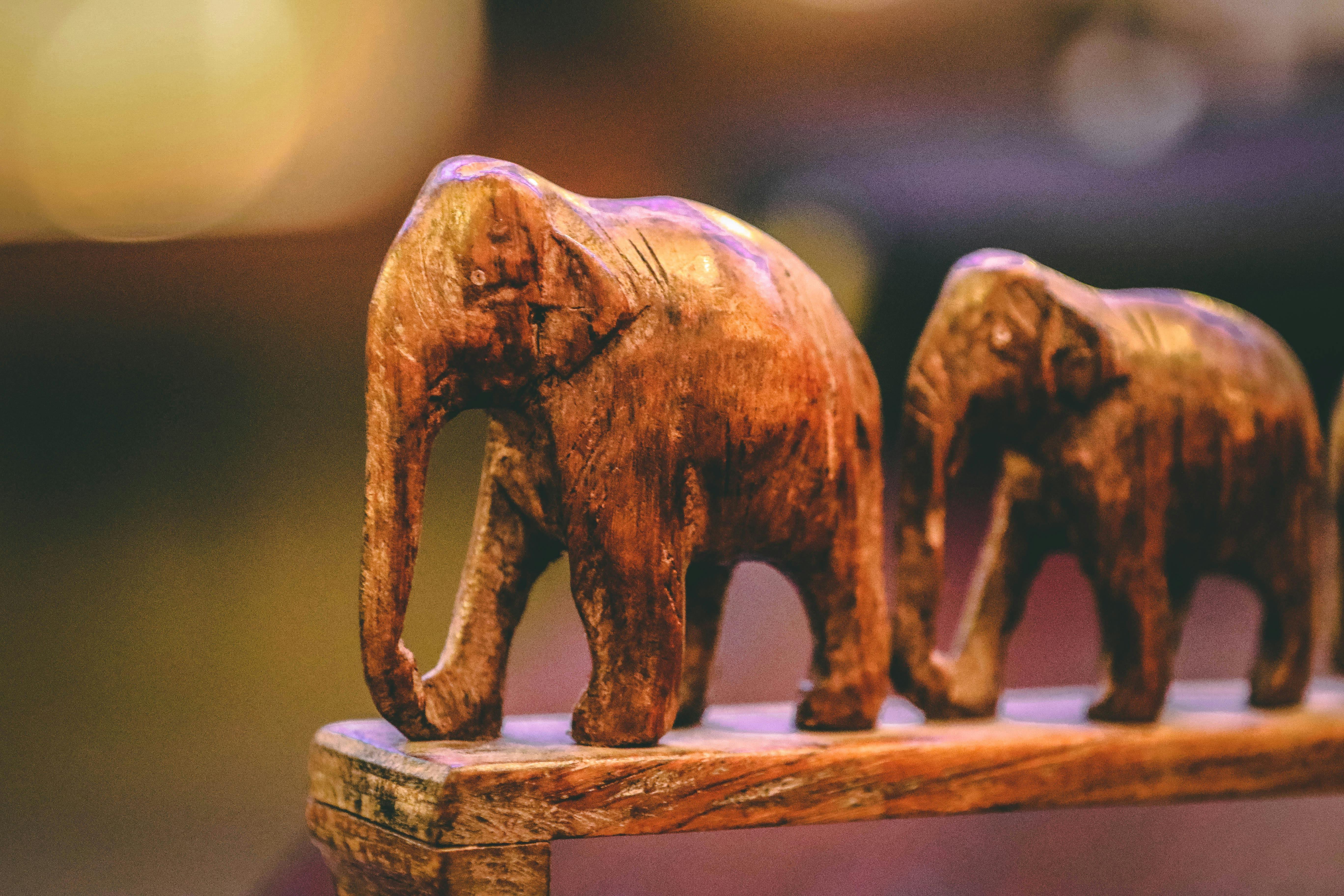 Free Stock Photo Of Elephant Living Room Statue Free