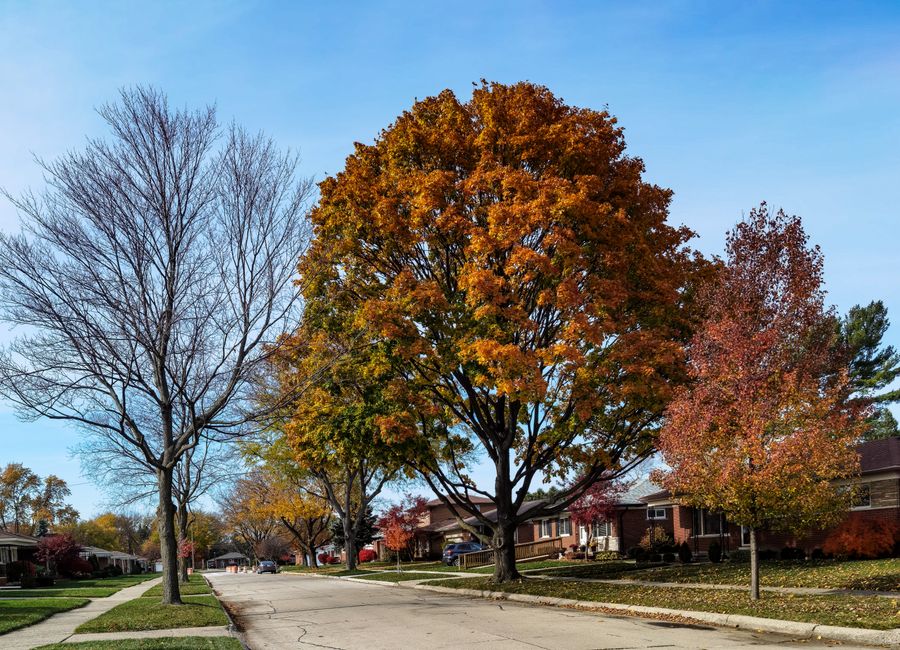 Ottawa's Housing Market Needs Time to Recover, Experts Say