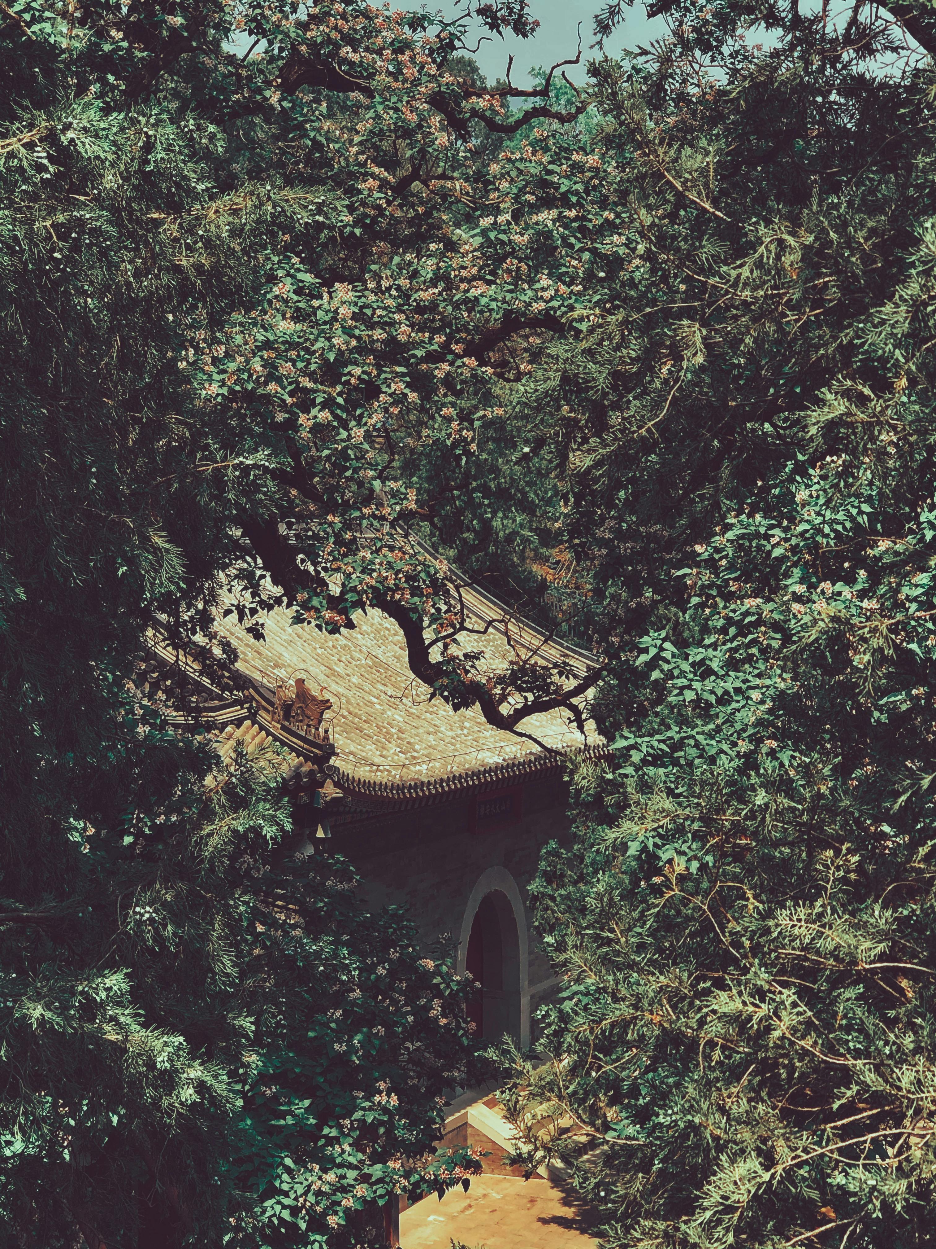 Inspections for roofing in Altamonte Springs FL