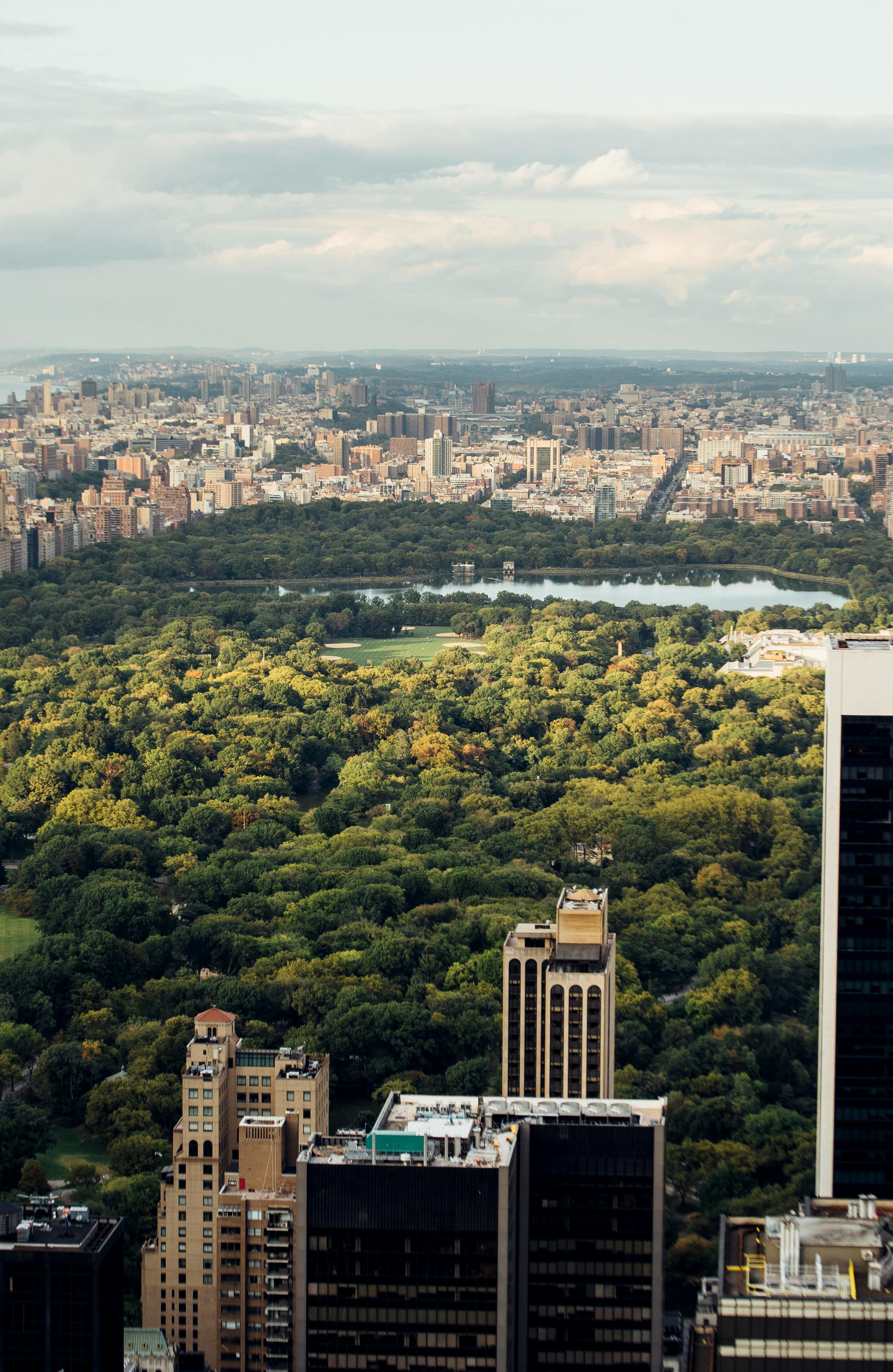 central park with skyscrapers in new york city