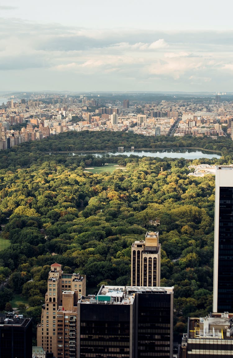 Central Park With Skyscrapers In New York City