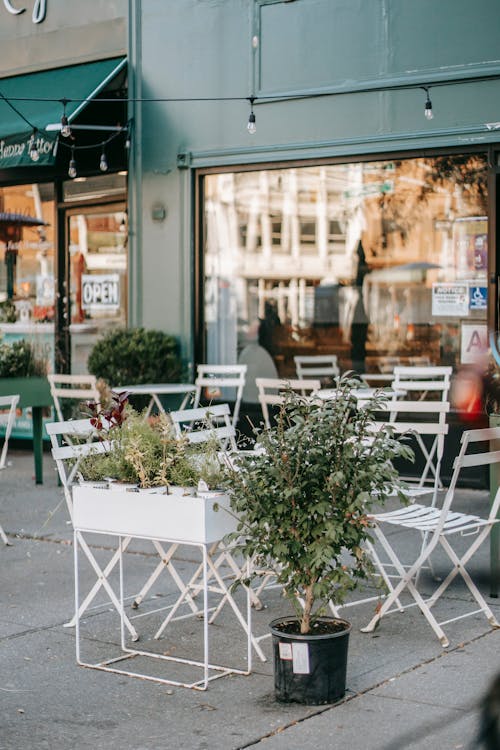 Empty outdoor cafe with stylish white tables and chairs decorated with green plants on sunny day