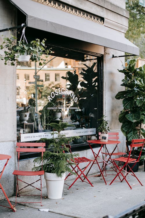 Simple red chairs and tables placed on terrace of stylish cafe decorated with green potted plants on city street