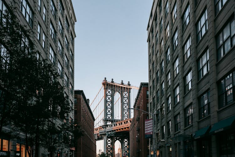 Essential NYC Activities: Landmarks to Laughter thumbnail