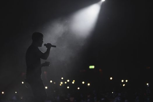 Silhouette of a singer performing under a spotlight with an audience in the dark, Tehran concert.
