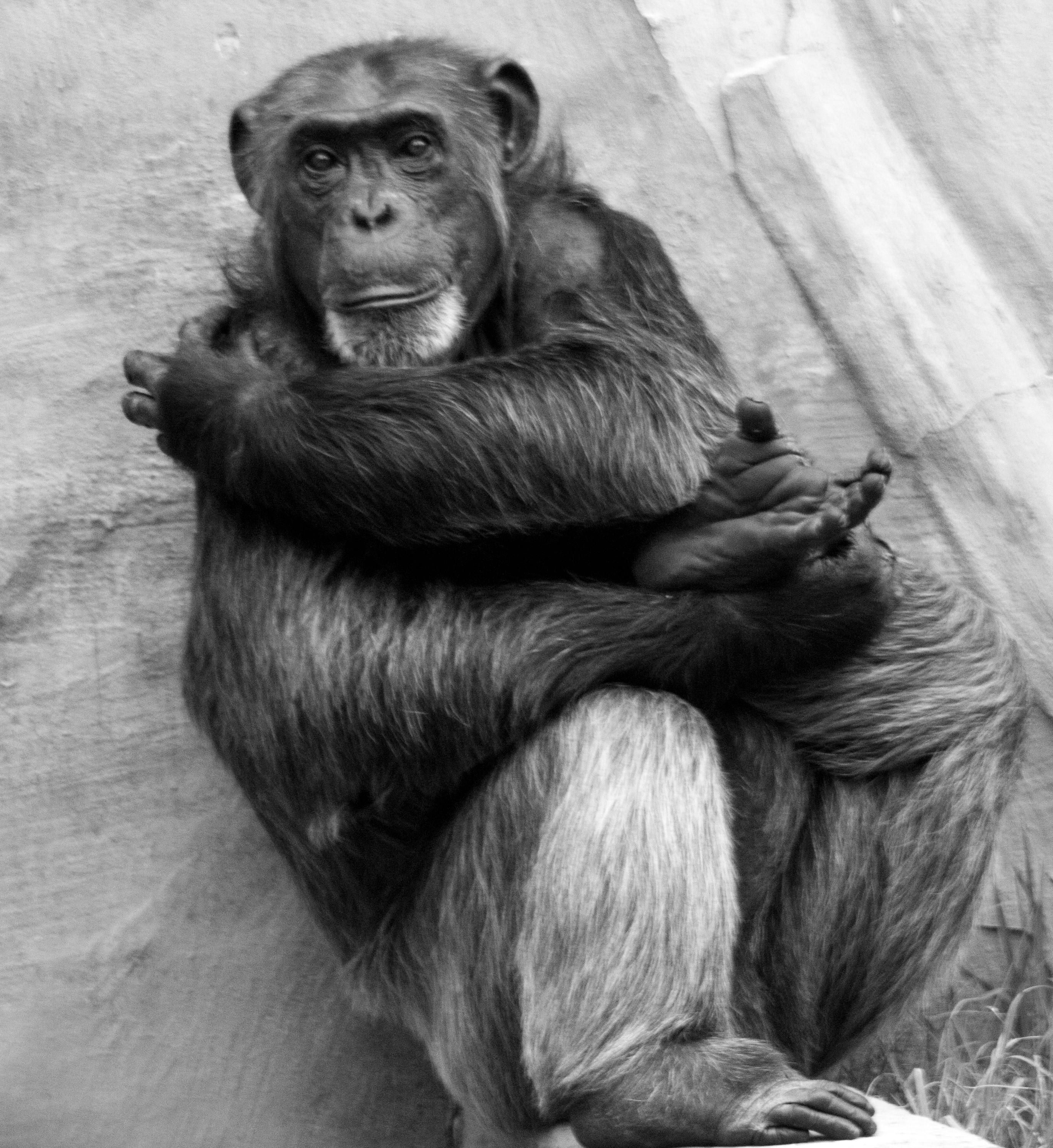 Elegant luxury home rental interior with grand piano