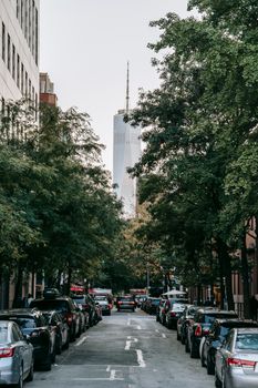 这是一条通往纽约市自由塔的繁忙街道，街上车流不息，绿树成荫