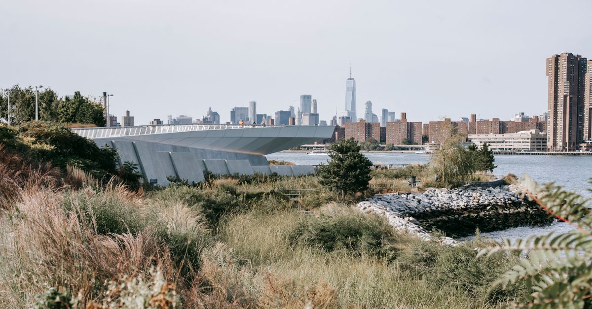 Grassy embankment with view on calm river and cityscape · Free Stock Photo