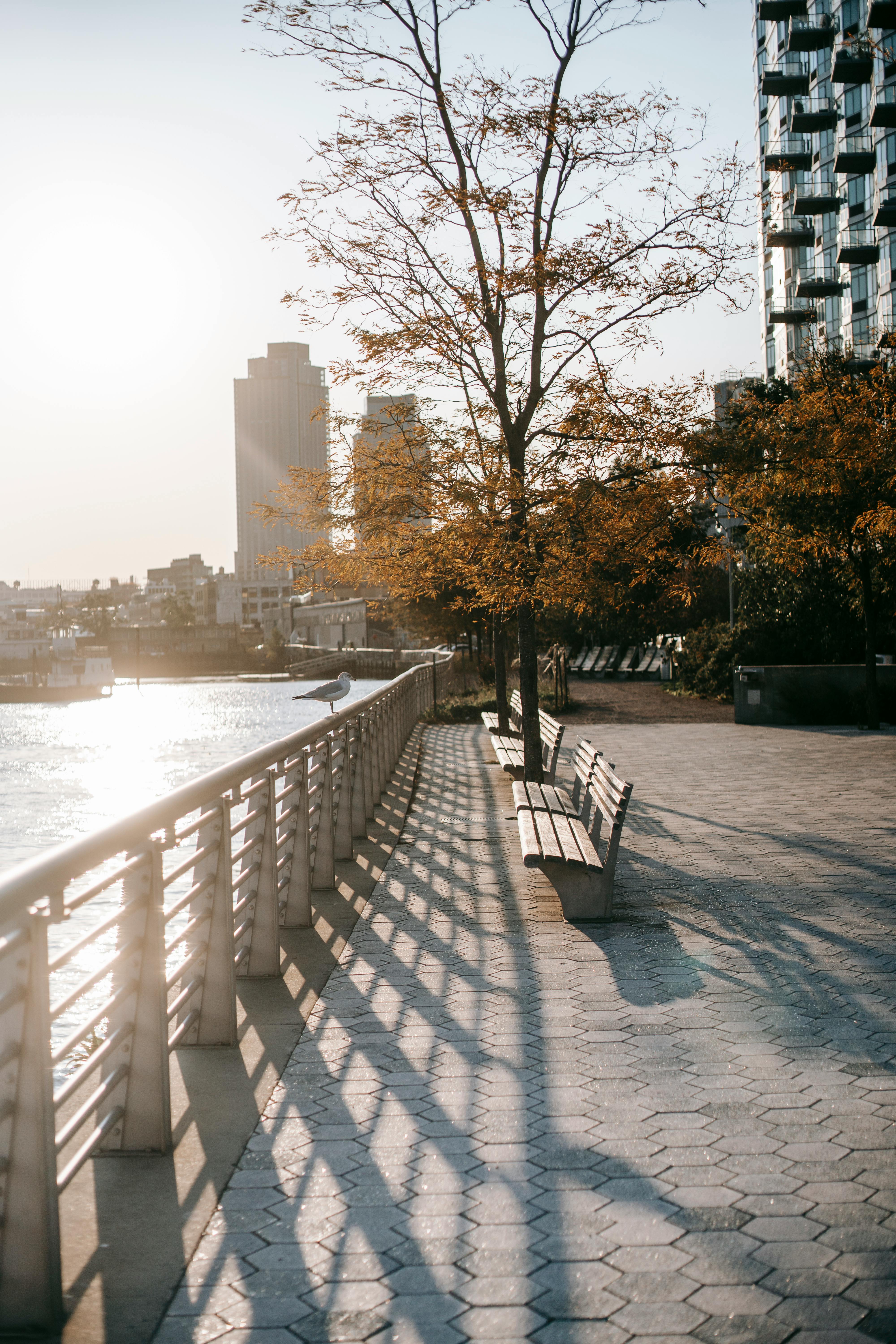 contemporary embankment in city in sunny day