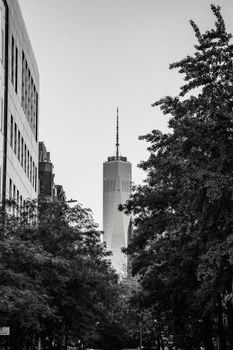 透过黑白景色，可以看到美国曼哈顿下城世贸中心一号街道上生长的树叶