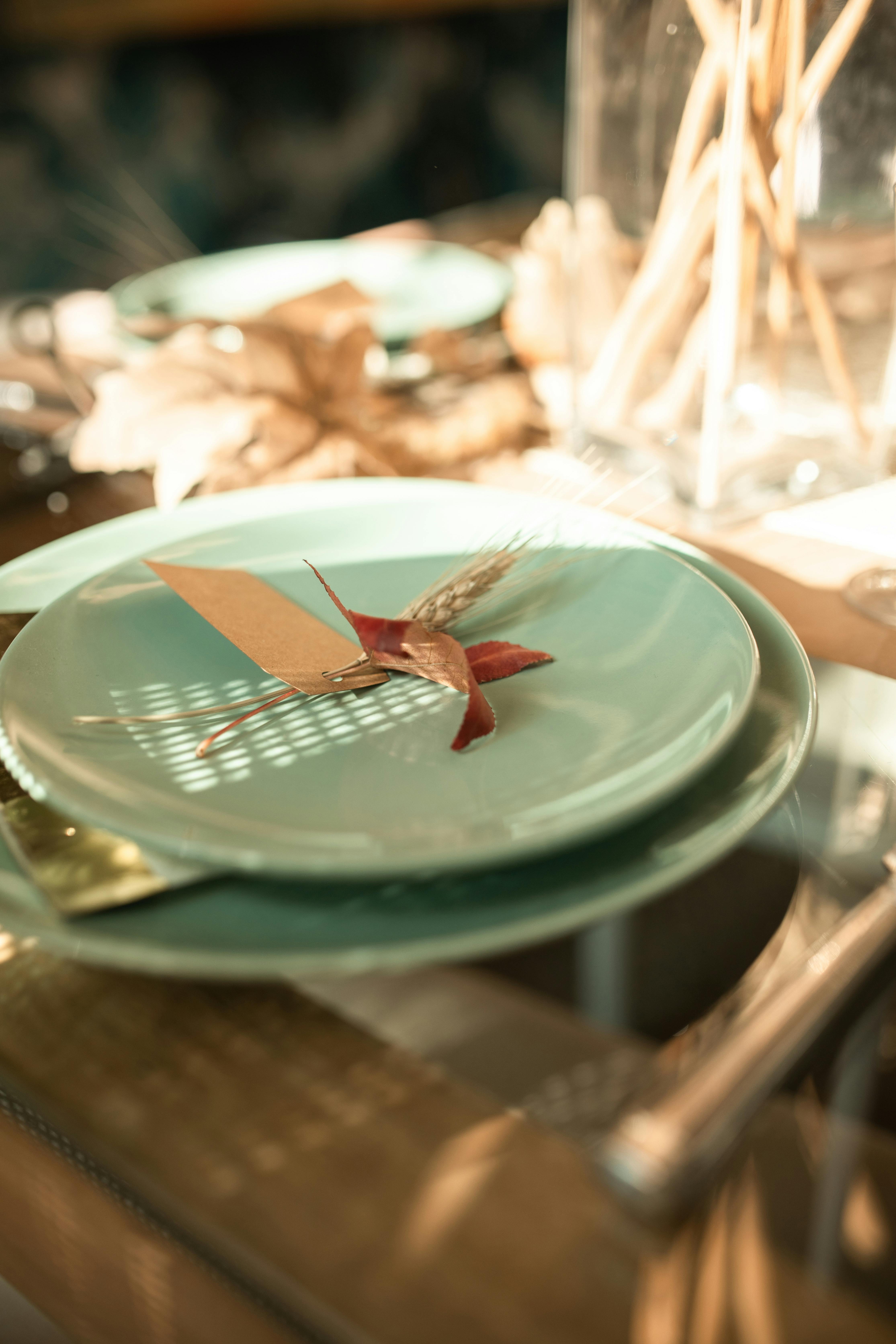 red and white bird on green ceramic plate