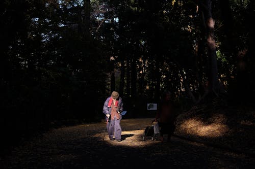 人, 公園, 天性 的 免費圖庫相片