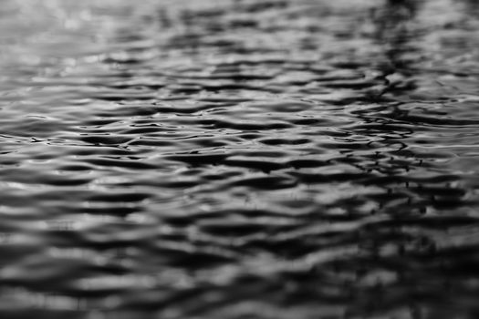 Close-up shot of ripples on a body of water in black and white, showcasing natural patterns.
