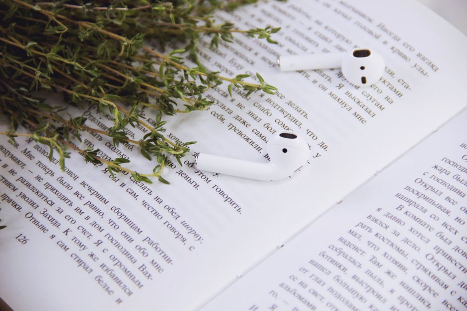 From above of opened book with TWS earbuds with bunch of thin twigs
