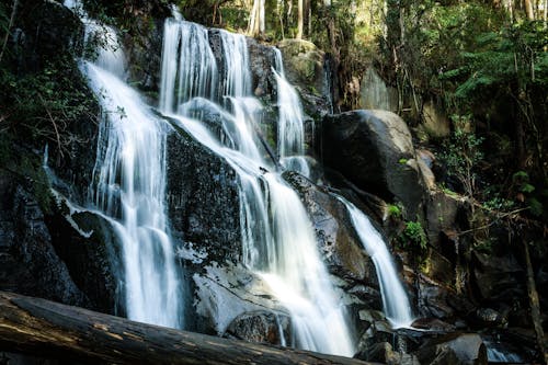 Water Falls in the Middle of the Woods