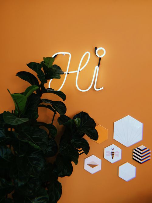Free White neon word Hi hanging on brown wall near geometrical decorations and lush green potted plant in modern studio Stock Photo