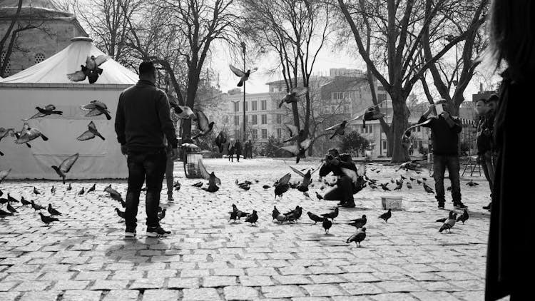 Faceless People Feeding Pigeons On City Street