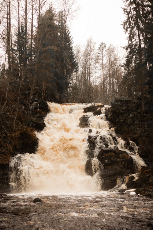 Waterfall in Woods