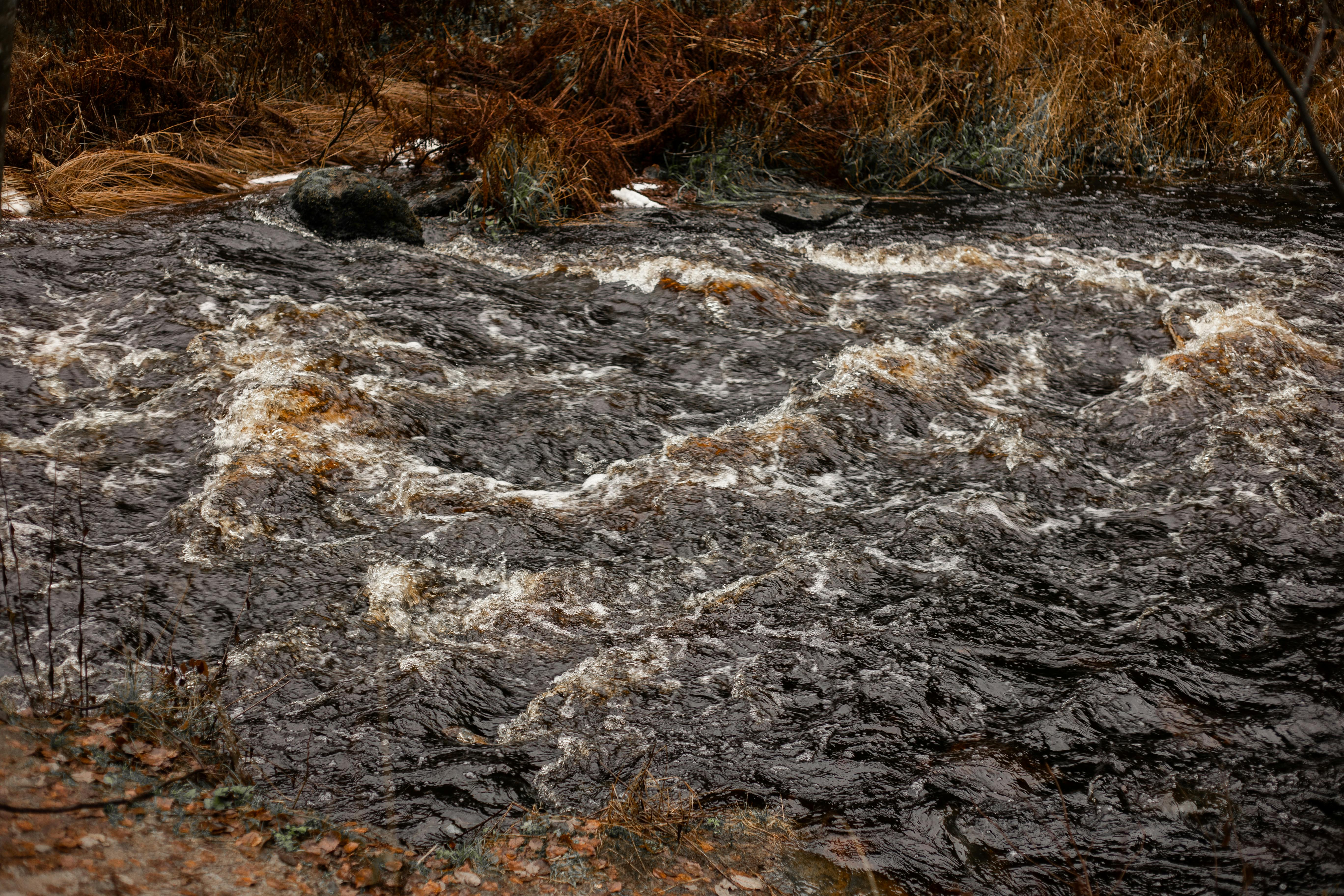 从高角度俯瞰，可见秋叶掩映下的湍急溪流