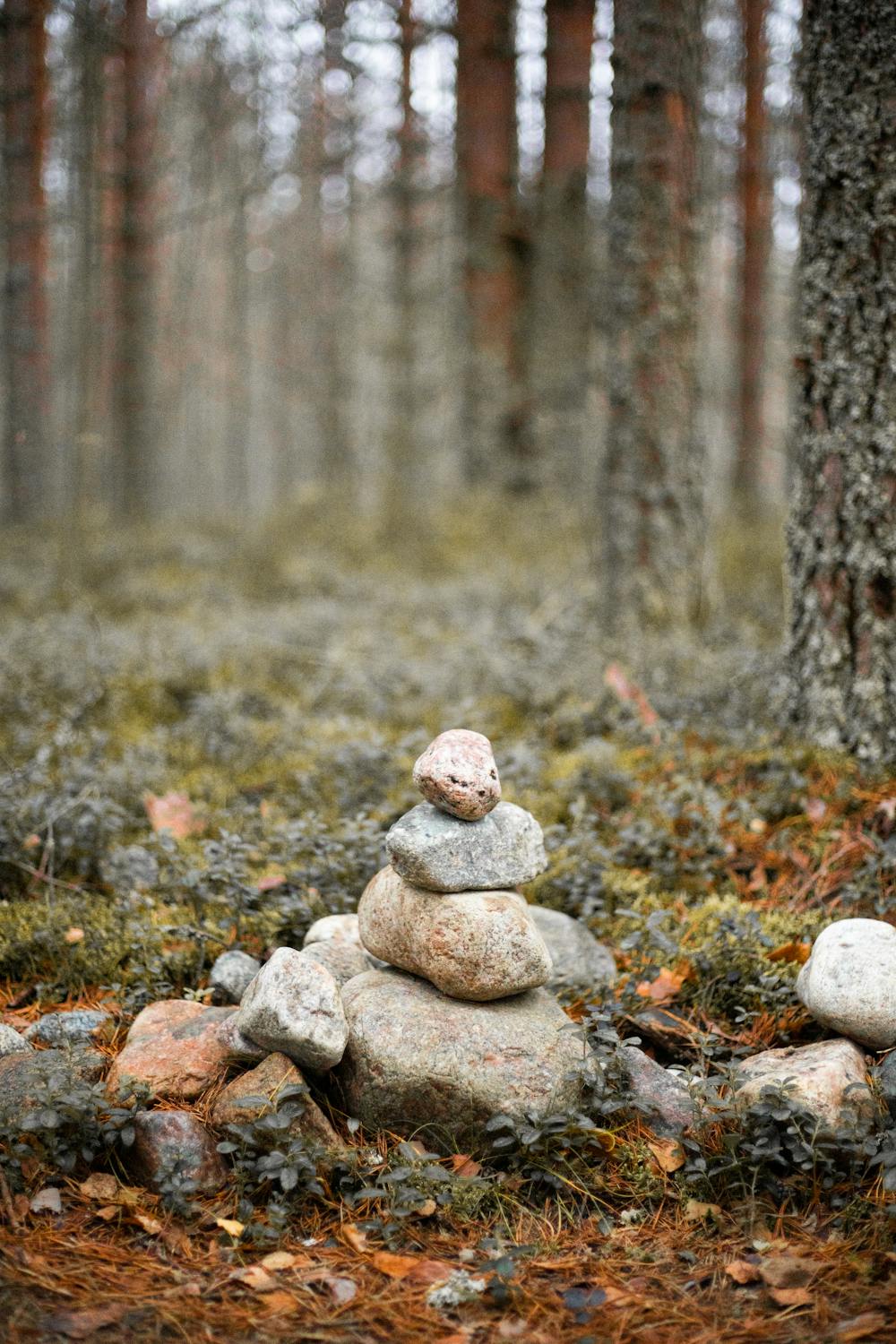 Stack of Stones in Forest · Free Stock Photo