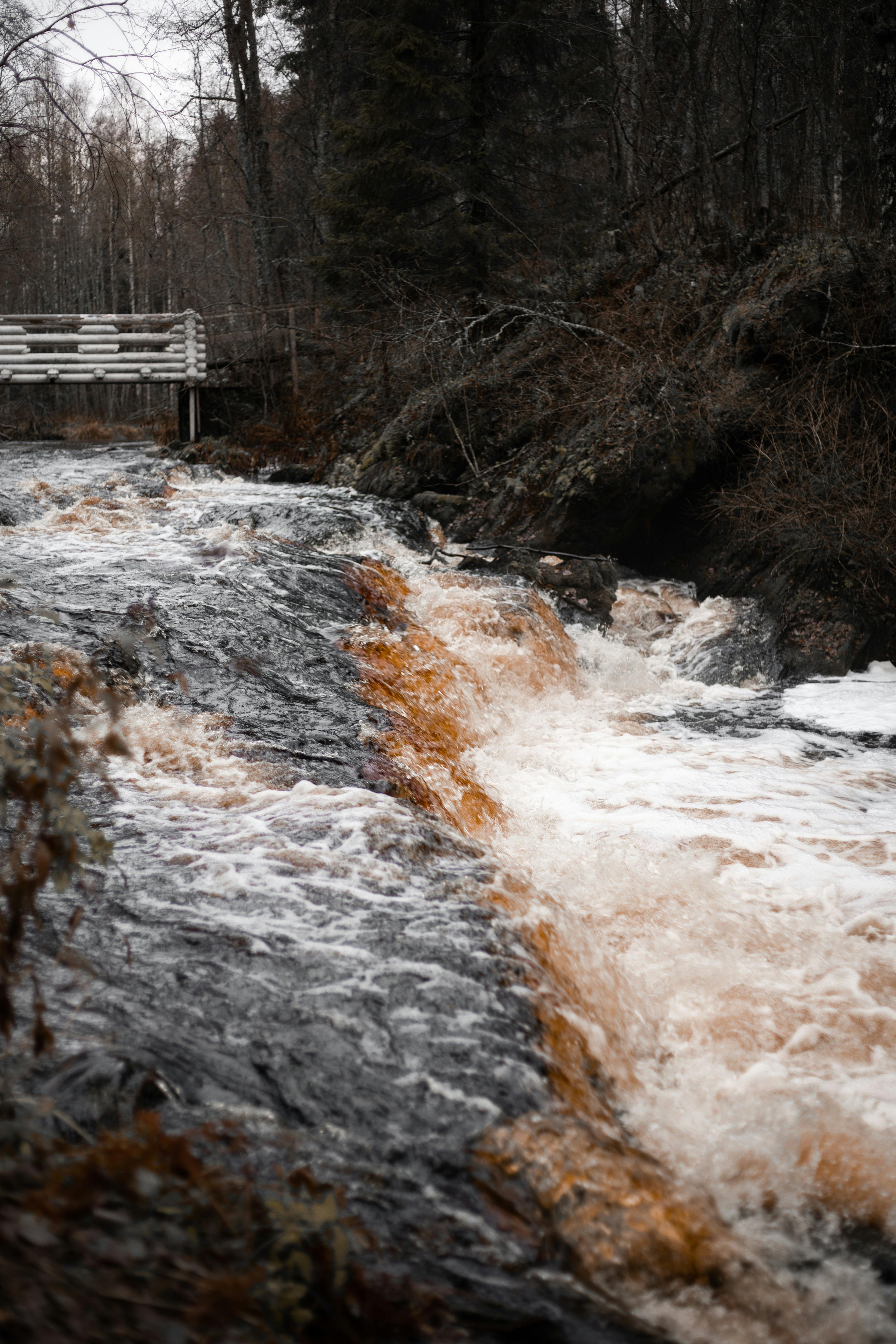 秋天，森林中一条平静流淌的小溪上，有一座乡村桥梁
