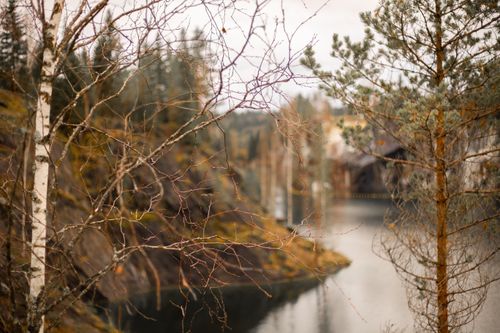Free Peaceful autumn scene with trees and a riverbank in a natural forest setting. Stock Photo