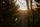 evening sun