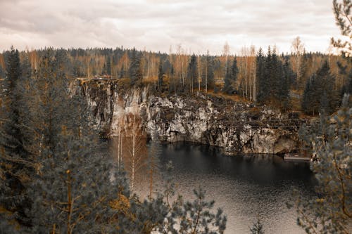 Бесплатное стоковое фото с вода, гора, деревья