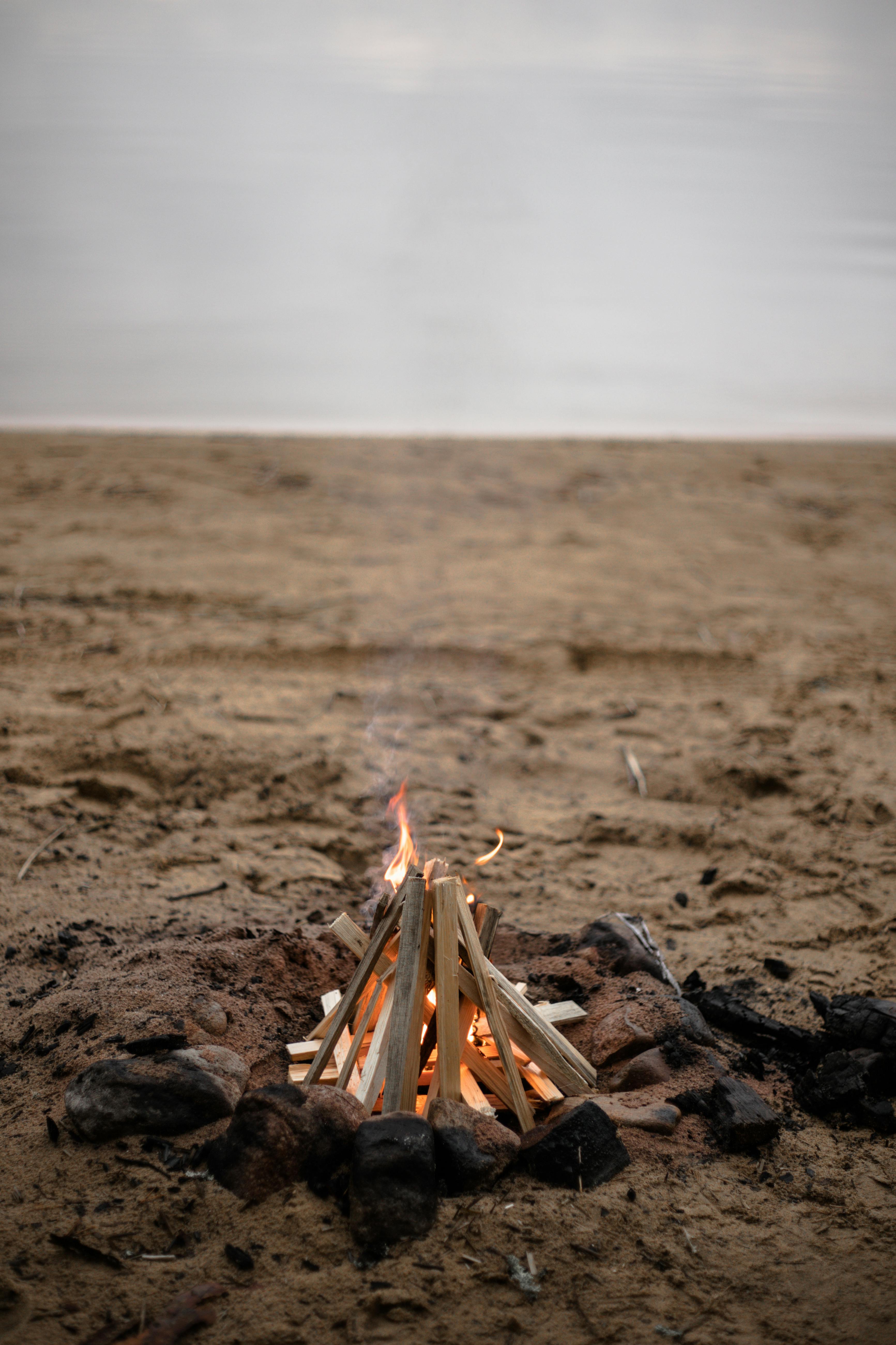 brown wooden stick on brown sand near body of water