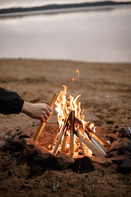 Person Putting Firewood on the Bonfire